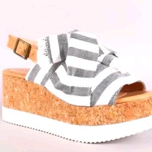 IN SEARCH OF THESE!!!!